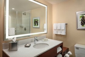 Holiday Inn Austin-Town Lake
