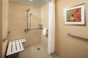 Holiday Inn Austin-Town Lake