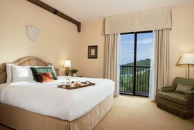Hotel Viata Austin