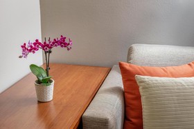 Hyatt Place Austin Arboreteum