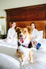 Omni Barton Creek Resort & Spa