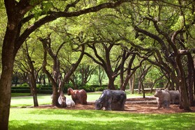 Renaissance Austin