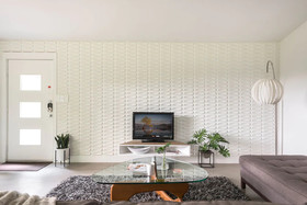 Travis Heights Modern 1