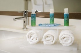 Holiday Inn Express & Suites Bay City