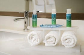 Holiday Inn Express & Suites Bay City