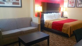 Regency Inn & Suites - Baytown