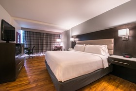 Holiday Inn Beaumont-Plaza I-10 & Walden