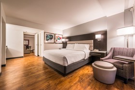 Holiday Inn Beaumont-Plaza I-10 & Walden