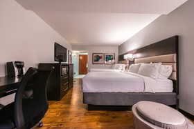 Holiday Inn Beaumont-Plaza I-10 & Walden