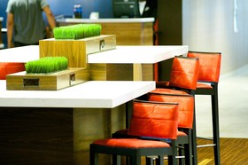 Courtyard Dallas DFW Airport West/Bedford