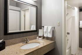 Courtyard Dallas DFW Airport West/Bedford