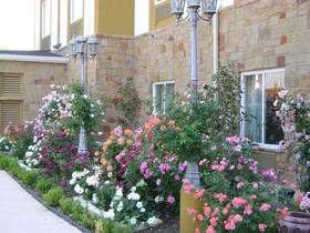 Blanco River Hotel
