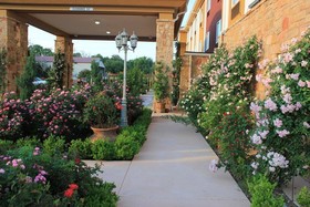 Blanco River Hotel