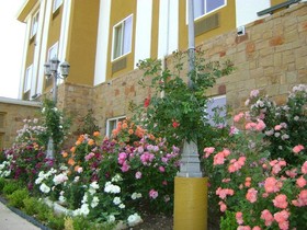 Blanco River Hotel