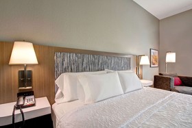 Hampton Inn & Suites Borger