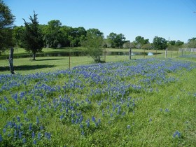 Best Western Inn Of Brenham