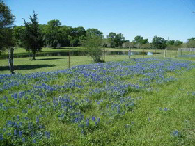 Best Western Inn Of Brenham