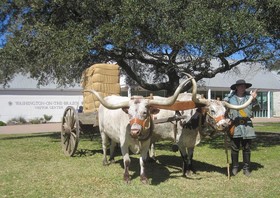 Best Western Inn Of Brenham