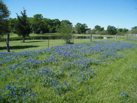 Best Western Inn Of Brenham