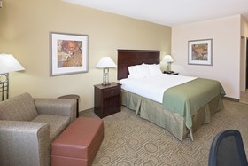 Holiday Inn Express Hotel & Suites Brownfield