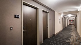 Best Western Plus Buda Austin Inn & Suites
