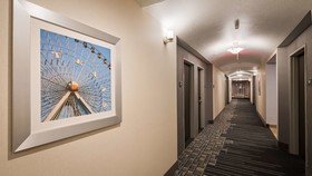 Best Western Plus Buda Austin Inn & Suites
