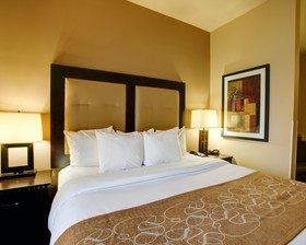 Comfort Suites Buda - Austin South