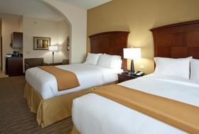 Holiday Inn Express Hotel & Suites Austin South-Buda