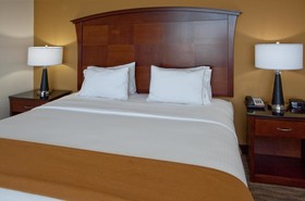 Holiday Inn Express Hotel & Suites Austin South-Buda