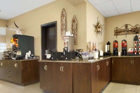 Microtel Inn & Suites by Wyndham Buda Austin South