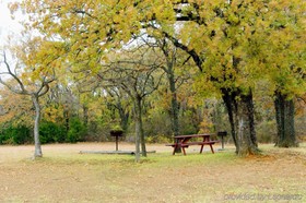 Five Star Inn Burleson
