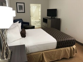 Best Western Palo Duro Canyon Inn & Suites
