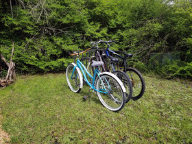 Savannah's Meadow
