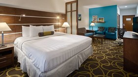 Best Western Plus College Station Inn & Suites