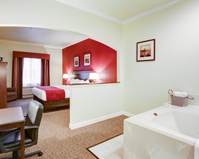 Comfort Suites Texas Ave.