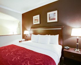 Comfort Suites Texas Ave.