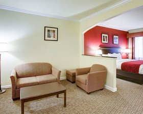 Comfort Suites Texas Ave.