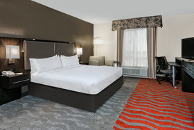 Holiday Inn Hotel & Suites College Station-Aggieland