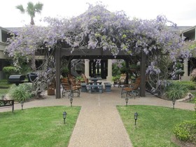 Vineyard Court Designer Suites