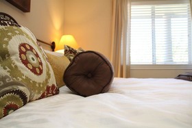 Vineyard Court Designer Suites