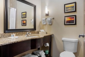 Comfort Suites Central