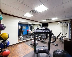 Comfort Suites Central