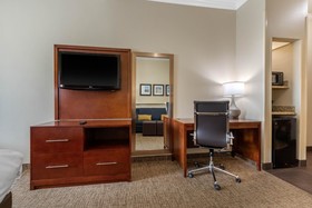 Comfort Suites Central
