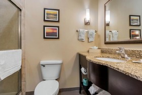 Comfort Suites Central