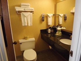 Holiday Inn Corpus Christi Downtown Marina