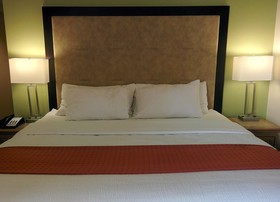 Holiday Inn Corpus Christi Downtown Marina