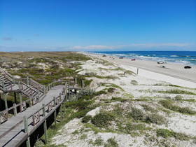 Lively Beach