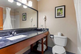 Comfort Suites North Dallas