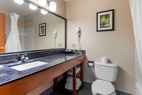 Comfort Suites North Dallas