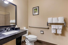 Comfort Suites North Dallas
